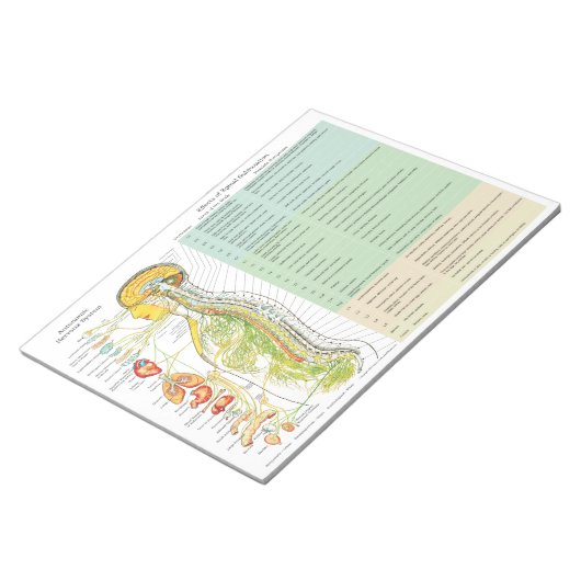 ANS Subluxation Effects Reißen von Pads Notizblock (angewinkelt)