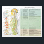 ANS Subluxation Effects Reißen von Pads Notizblock<br><div class="desc">Die Handout-Liste listet die Auswirkungen von Spinalsubluxation auf die Körperareale und mögliche damit verbundene Symptome auf. Aufgeführt nach Rückenmarksstufen. Das autonome Nervensystem in Bezug auf die Wirbelsäule und die inneren Organe. Die Nerven sind farbkodiert und stellen das sympathische,  parasympathische und zerebralspinale System dar.</div>