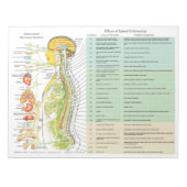 ANS Subluxation Effects Reißen von Pads Notizblock (Vorderseite)