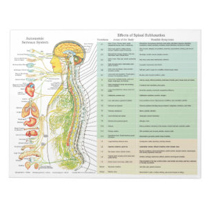 ANS Subluxation Effects Reißen von Pads Notizblock