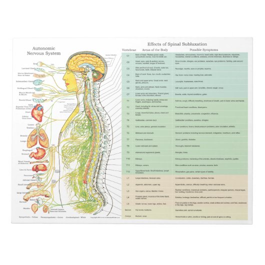 ANS Subluxation Effects Reißen von Pads Notizblock (Vorderseite)