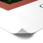 Ansammlung Almond-Blüten Poster (Ecke)