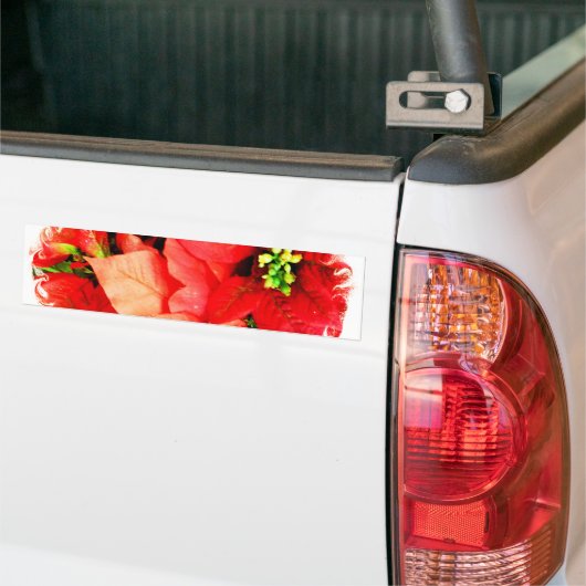 Ansammlung Autoaufkleber (Auf Lkw)