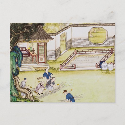 Ansammlung Bambus für Papier Postkarte (Vorderseite)