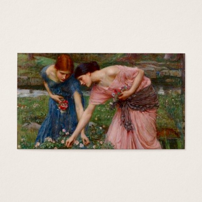 Ansammlung Blume (Vorderseite)