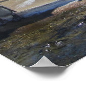 Ansammlung der Pinguine Poster (Ecke)