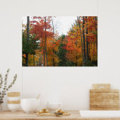 Ansammlung der Stehenden Poster (Küche)