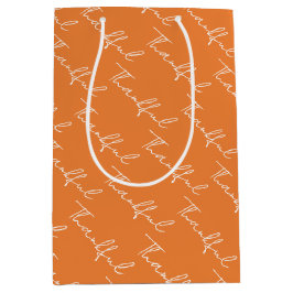 Ansammlung Erntedank Abendessen Mittlere Geschenktüte