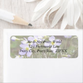 Ansammlung kleinerer Bluets (Insitu)