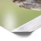 Ansammlung-Muck für Nest-Foto Fotodruck (Ecke)