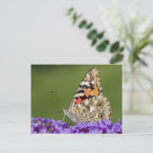 Ansammlung Nectar Postkarte (Stehend Vorderseite)