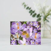 Ansammlung Nectar von Crocus Blume Postkarte (Stehend Vorderseite)