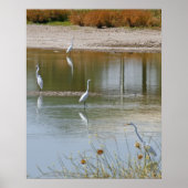 Ansammlung Poster (Vorne)