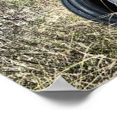 Ansammlung Rust Poster (Ecke)