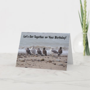 Ansammlung Sea Gull Birds treffen Geburtstag zusam Karte