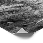 Ansammlung Sisal, Nassau, Bahama-Inseln, c1900 Poster (Ecke)