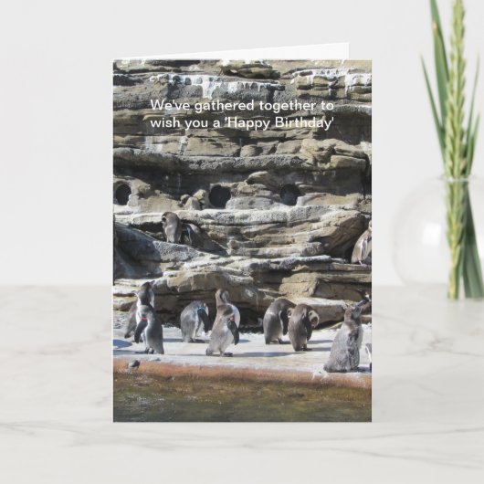 Ansammlung von Pinguinen Karte (Vorderseite)