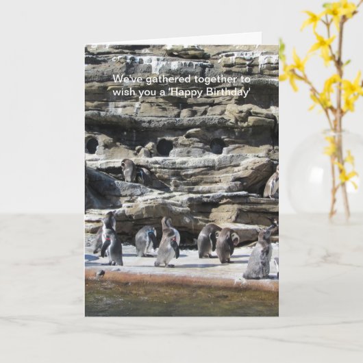 Ansammlung von Pinguinen Karte (Gelbe Blume)