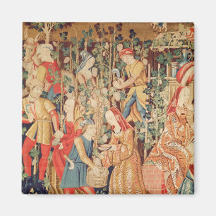 Ansammlungs-Trauben, Detail der Trauben-Ernte Magnet