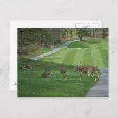 Anschauen der N-Kälte Postkarte (Vorne/Hinten)