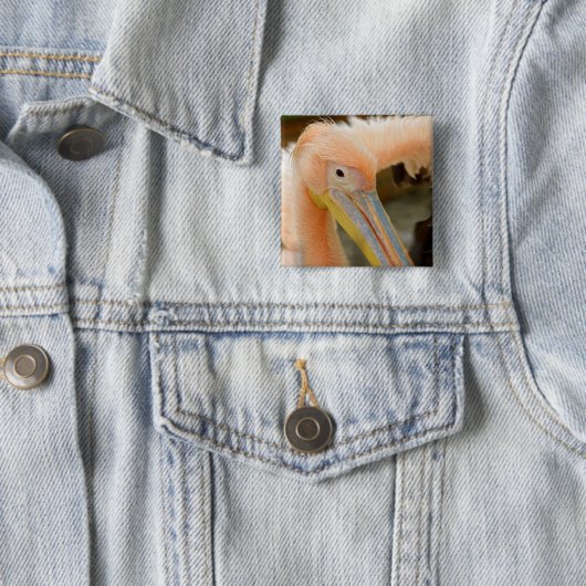 Anschauen der Pelican Button (Beispiel)