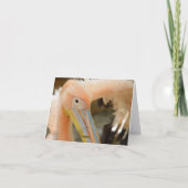 Anschauen der Pelikanmerkarte Karte (Rückseite)