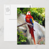 Anschauen und Gewartet Postkarte (Vorne/Hinten)