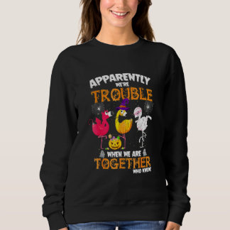 Anscheinend Waren Wir Ärger Als Wir Zusammen Flami Sweatshirt