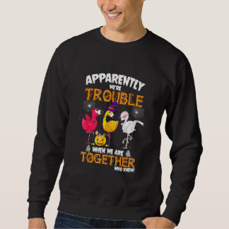Anscheinend Waren Wir Ärger Als Wir Zusammen Flami Sweatshirt