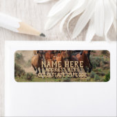 Anschrift der Wilden Pferde (Insitu)