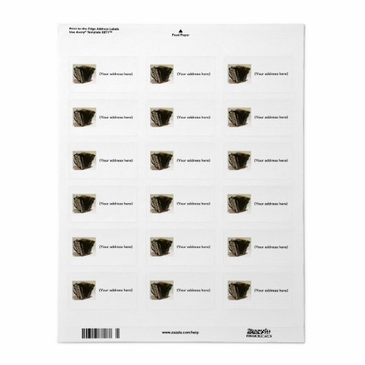 Anschriften Adressaufkleber (Vorne)