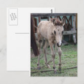 Anse1 Postkarte (Vorne/Hinten)