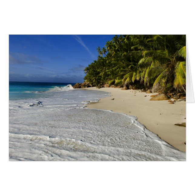 Anse Victorin Beach 2 (Vorderseite (Horizontal))