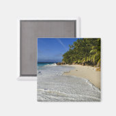 Anse Victorin Beach 2 Magnet (Vorderseite/Rückseite)