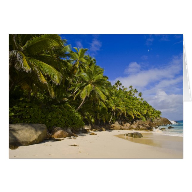 Anse Victorin Beach 3 (Vorderseite (Horizontal))