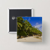 Anse Victorin Beach 3 Button (Vorne & Hinten)