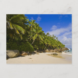 Anse Victorin Beach 3 Postkarte