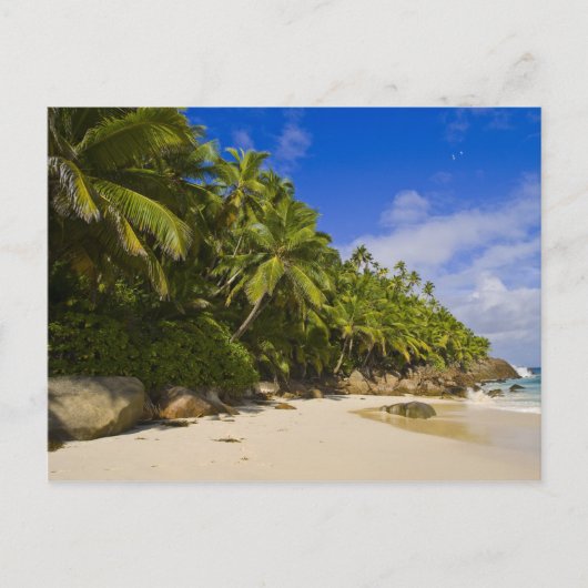 Anse Victorin Beach 3 Postkarte (Vorderseite)