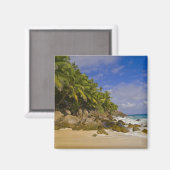 Anse Victorin Beach 4 Magnet (Vorderseite/Rückseite)