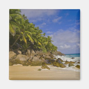 Anse Victorin Beach 4 Magnet