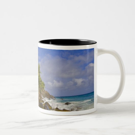 Anse Victorin Beach 4 Zweifarbige Tasse (Rechts)