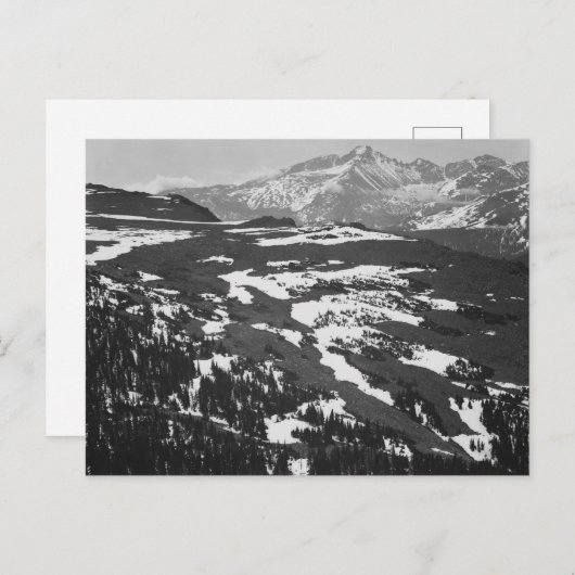 Ansel Adams - Long's Peak Rocky Mountain Postkarte (Vorne/Hinten)