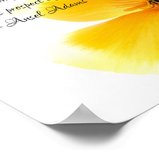 Ansel Adams zitieren in schwarzem Text auf einem O Poster (Ecke)