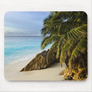 Ansi Victorin Strand Mousepad