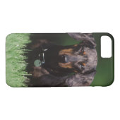 Ansicht der appelfarbenen Dackel Case-Mate iPhone Hülle (Rückseite (Horizontal))