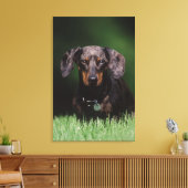 Ansicht der appelfarbenen Dackel Leinwanddruck (Insitu (Wohnzimmer))