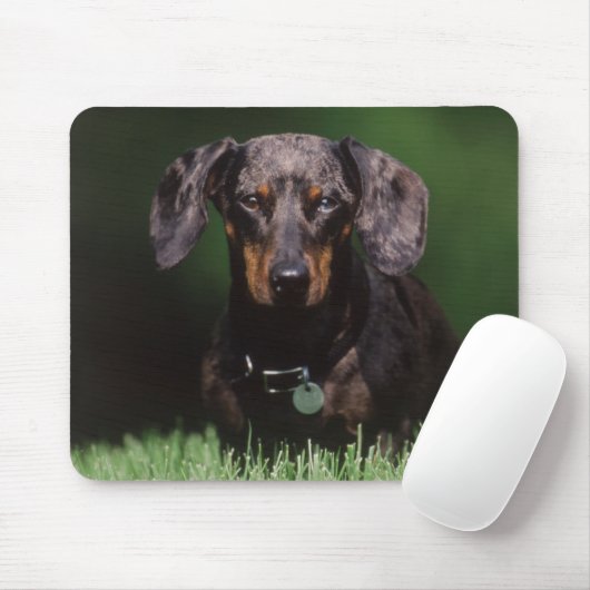 Ansicht der appelfarbenen Dackel Mousepad (Mit Mouse)