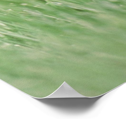 Ansicht der appelfarbenen Dackel Poster (Ecke)