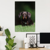 Ansicht der appelfarbenen Dackel Poster (Heimbüro)