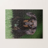 Ansicht der appelfarbenen Dackel Puzzle (Horizontal)